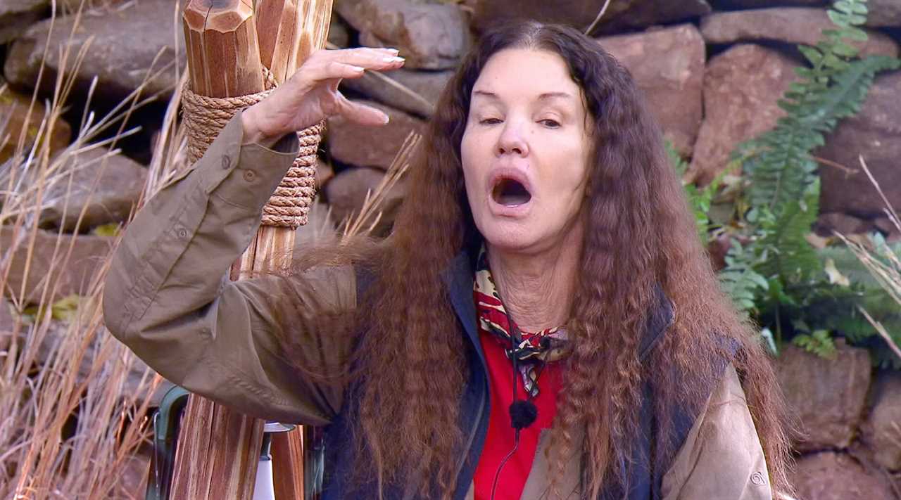 I’m A Celeb’s Carol Vorderman in scathing rant over ‘squawking’ Janice Dickinson saying ‘I didn’t like her’