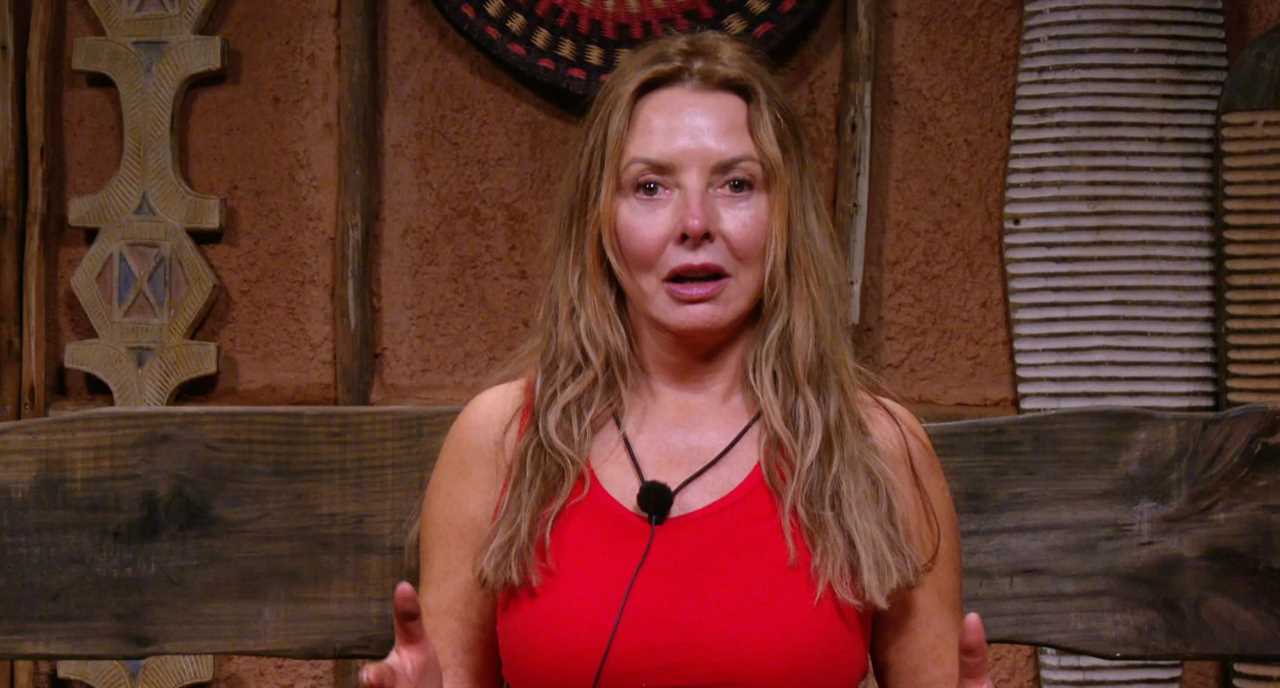 I’m A Celeb’s Carol Vorderman in scathing rant over ‘squawking’ Janice Dickinson saying ‘I didn’t like her’