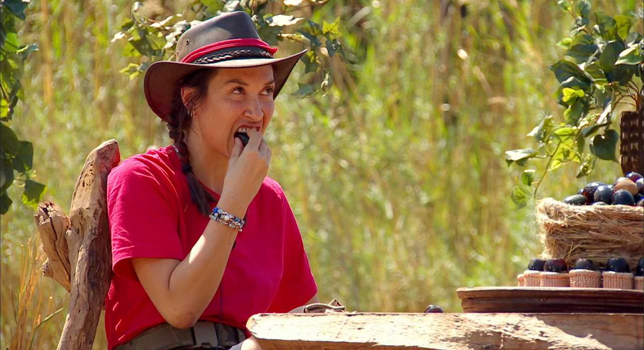 I’m A Celebrity fans all have the same complaint during the finale episode