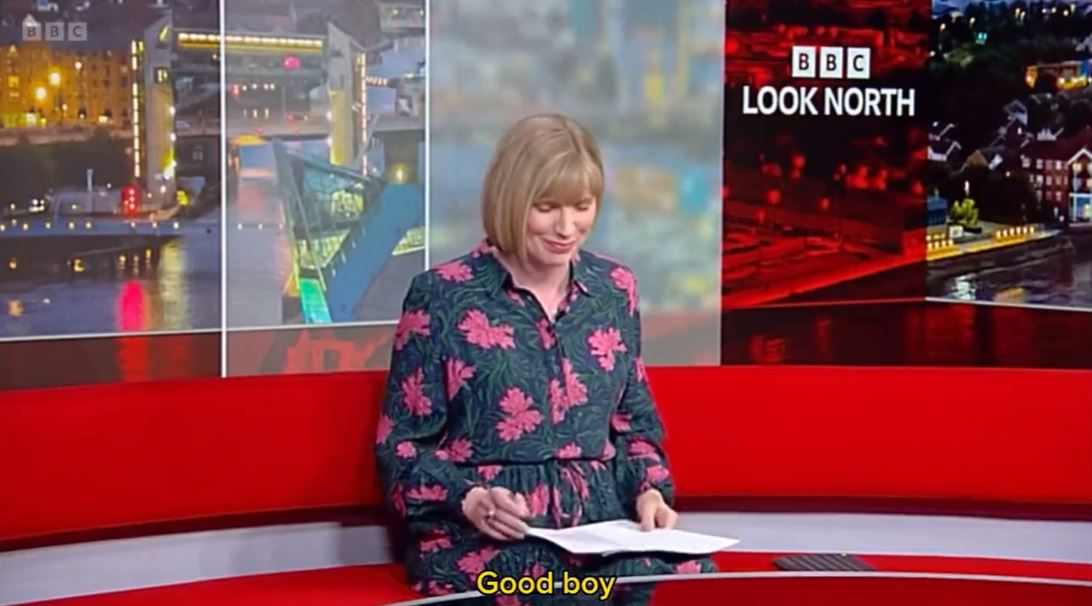 Viewers baffled as BBC newsreader signs off bulletin in very unexpected way