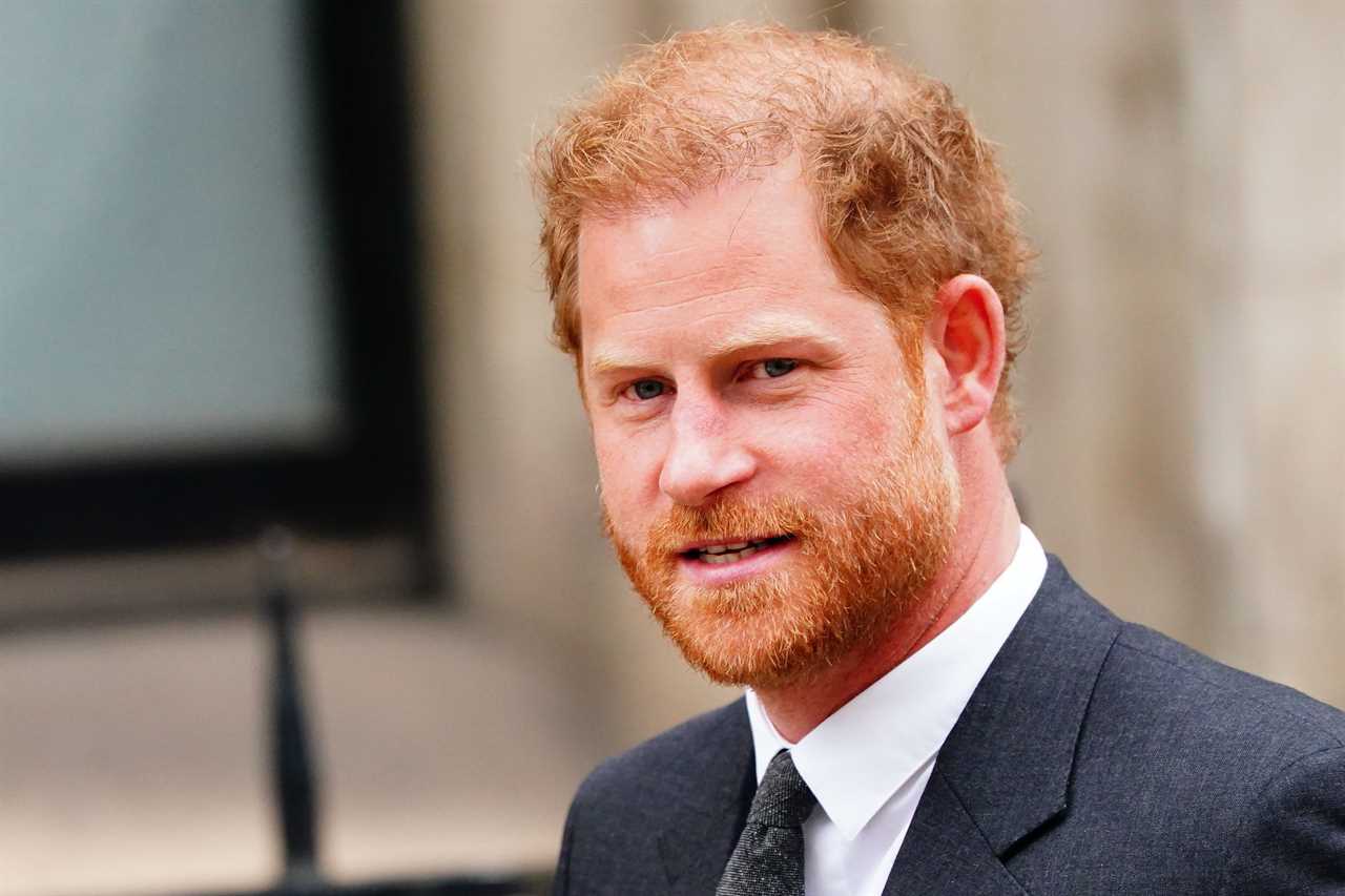 Prince Harry LOSES latest bid over security after being slammed for trying to use Met Police as ‘private bodyguards’