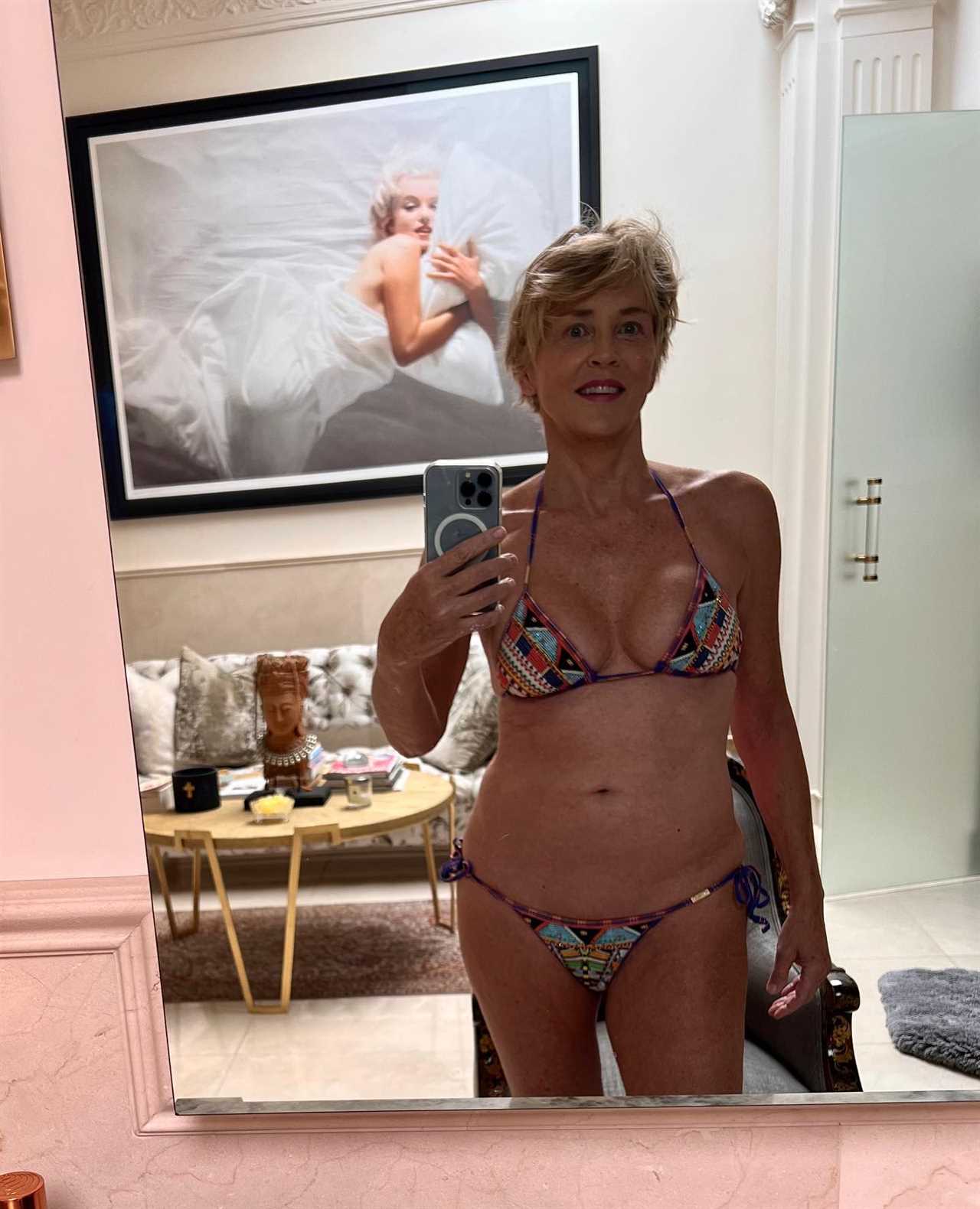 Sharon Stone, 65, shows off bare butt in very tiny Dolce & Gabbana thong bikini for jaw-dropping new selfie