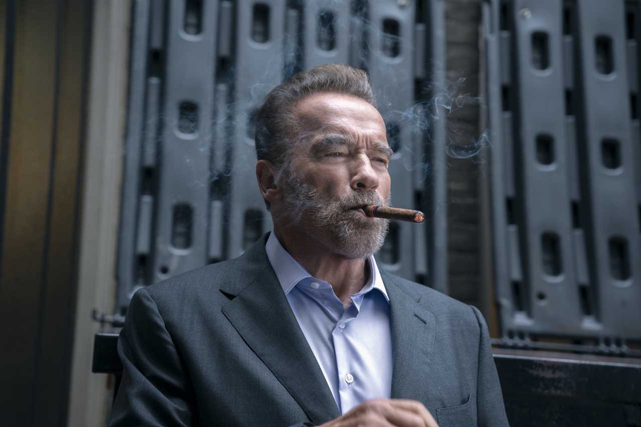 Netflix fans rip into ‘boring and terrible’ Arnold Schwarzenegger series FUBAR – raging ‘cancel your subscription!’