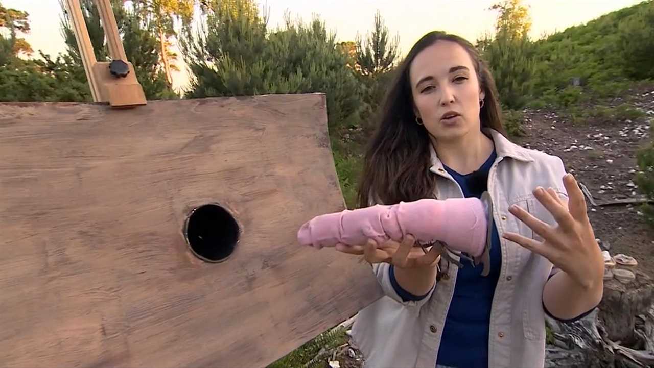 Springwatch fans seriously distracted as Megan McCubbin handles a rude-shaped object
