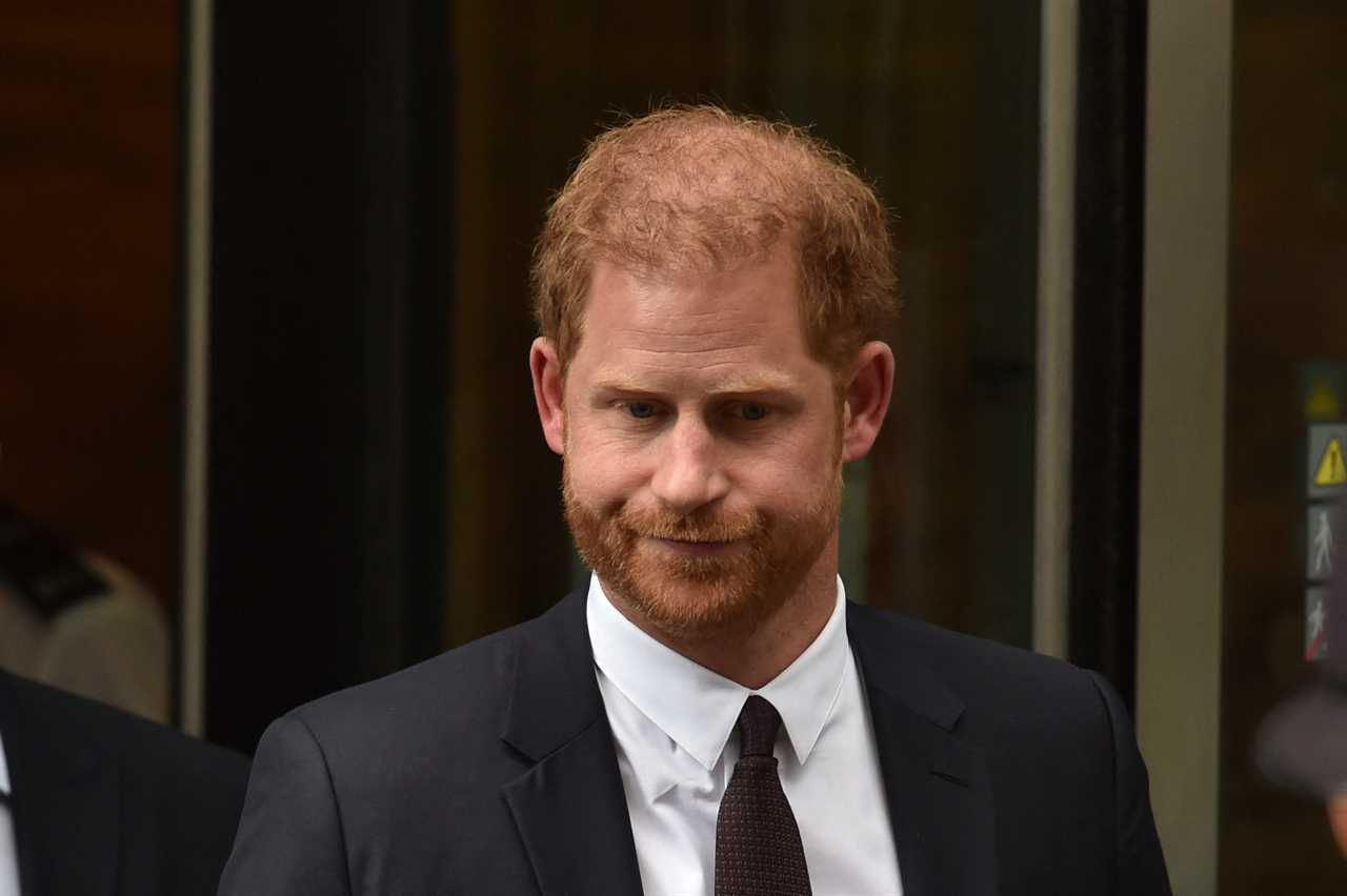 Prince Harry was armed only with vague suspicions and his usual tedious grudges at High Court