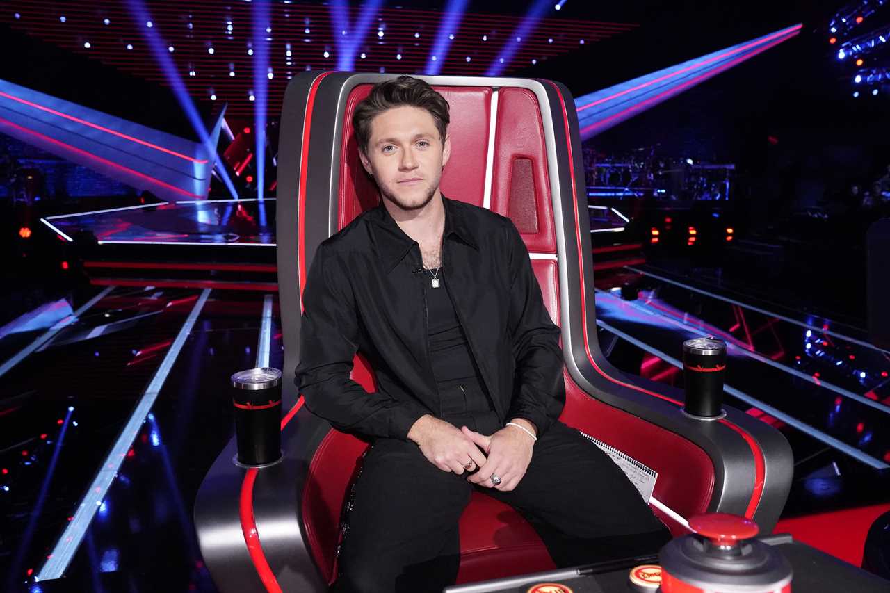One Direction heartthrob joins hit Channel 4 series