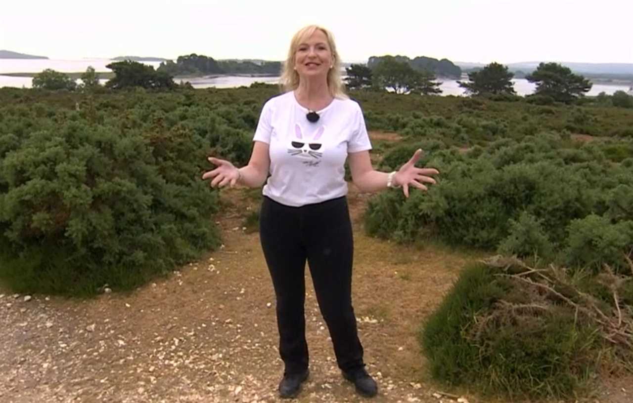 Carol Kirkwood stuns BBC Breakfast viewers as she makes major change to on-screen outfit