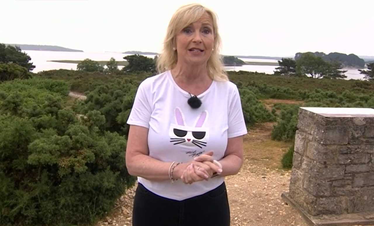 Carol Kirkwood stuns BBC Breakfast viewers as she makes major change to on-screen outfit