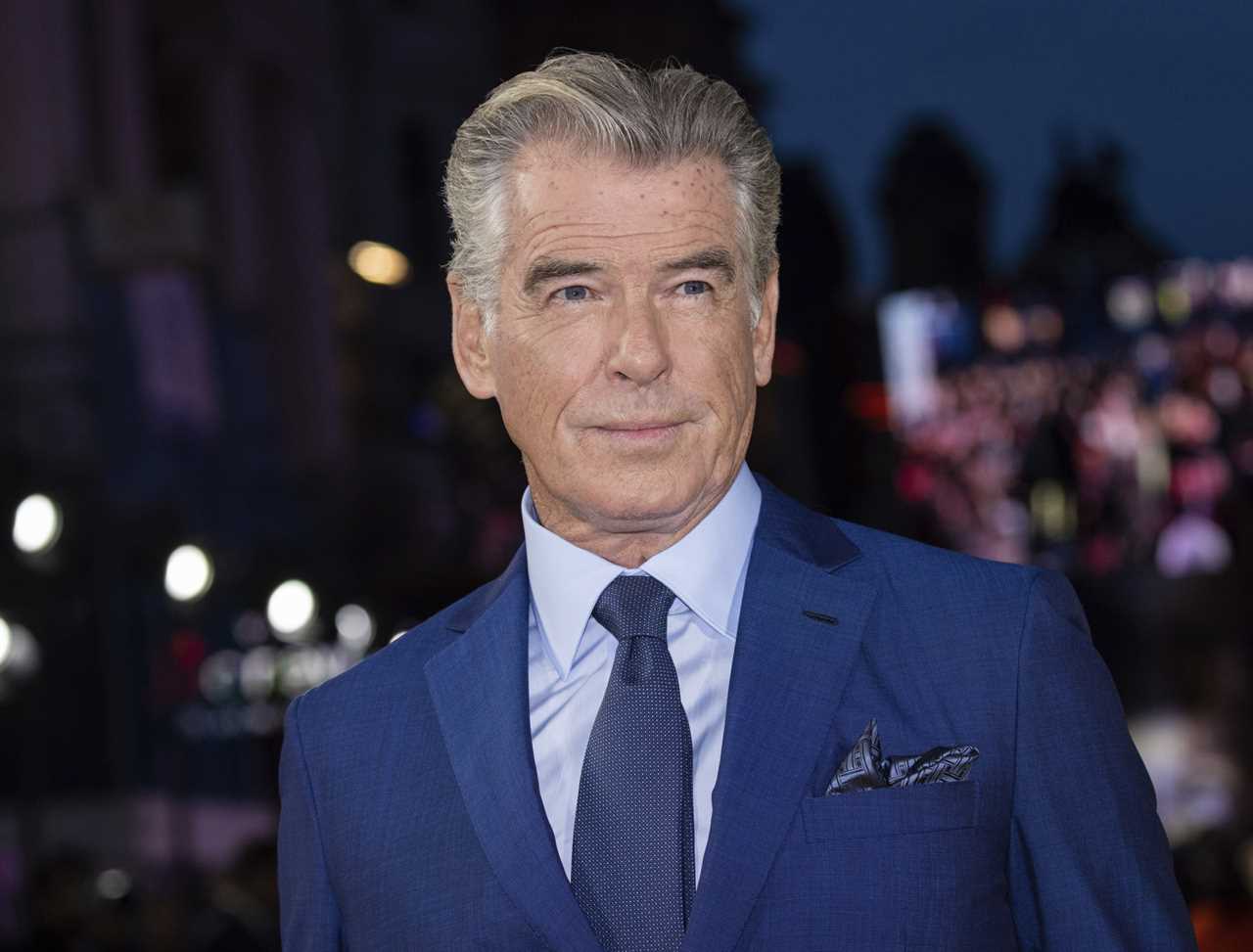 Man arrested as he breaks into Pierce Brosnan’s property to clean up after really disgusting act