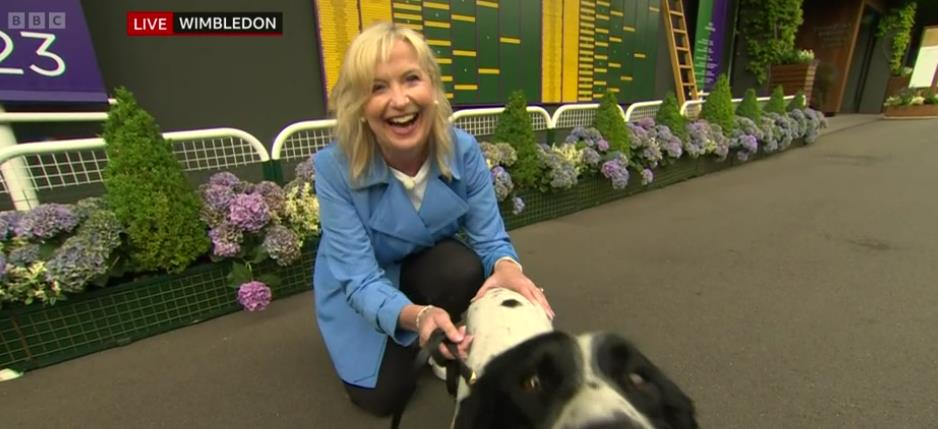 BBC Breakfast chaos as Carol Kirkwood dragged to the ground by dog as co-stars gasp ‘are you alright?!’