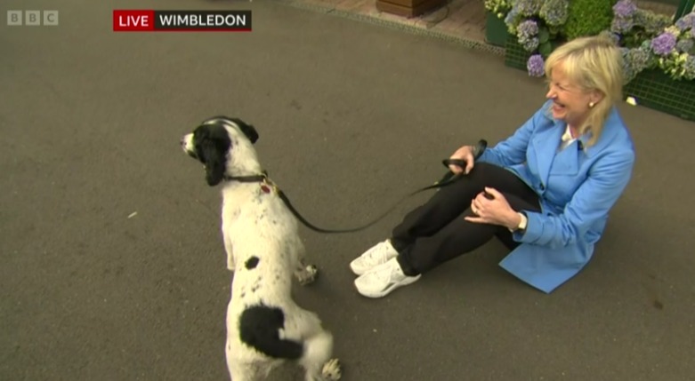 BBC Breakfast chaos as Carol Kirkwood dragged to the ground by dog as co-stars gasp ‘are you alright?!’