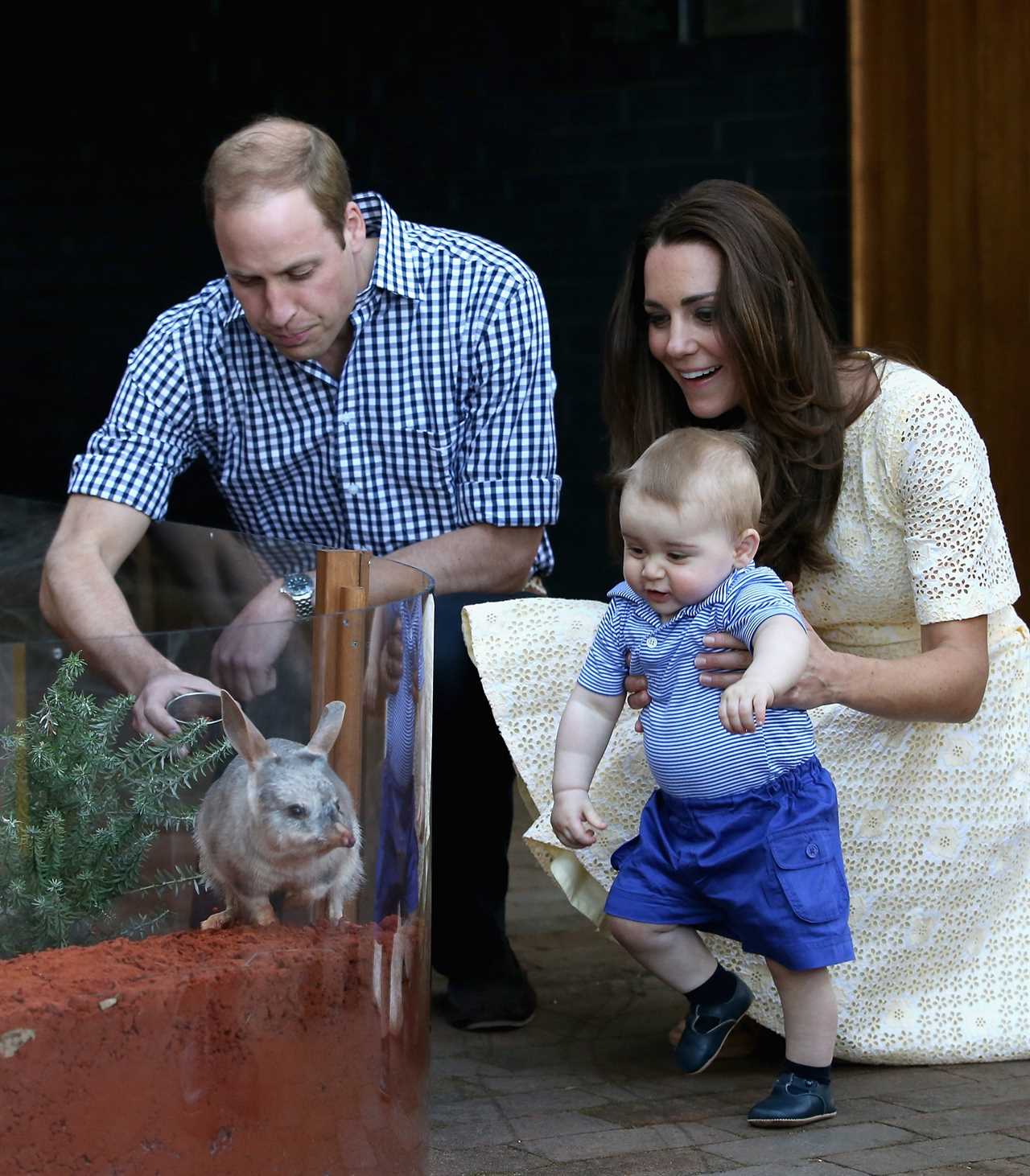 I’m a royal photographer and I’ve been taking pictures of Prince George for 10 years – here are my favourite