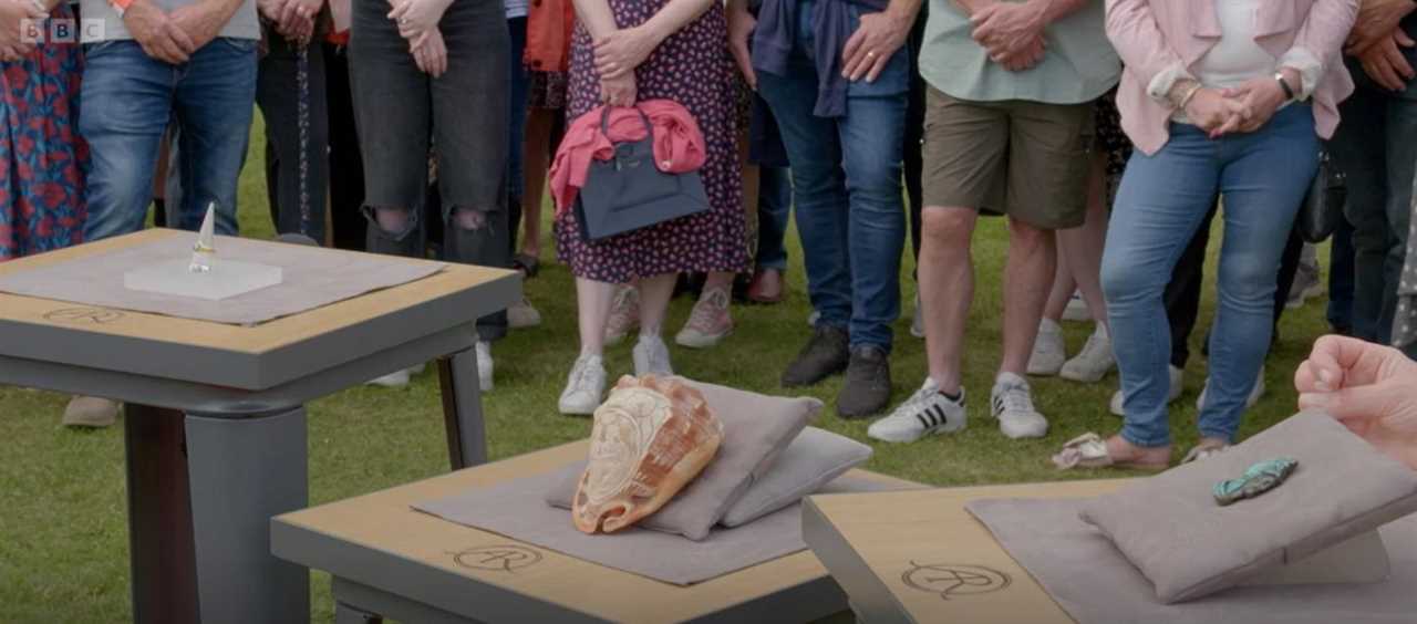 Antiques Roadshow viewers ‘switch off’ and slam Fiona Bruce – fuming ‘I couldn’t care less!’