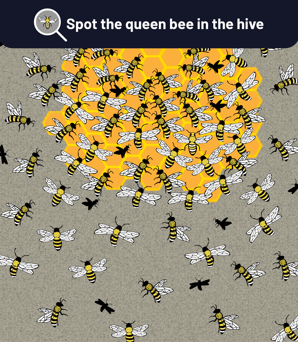 You have 20/20 vision if you can spot the Queen bee hiding in the hive in under five seconds