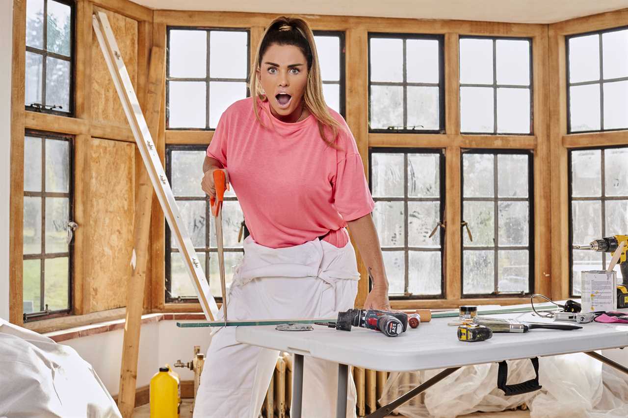 Katie Price confirms Mucky Mansion TV show has been axed as she rents out home for £6k a month