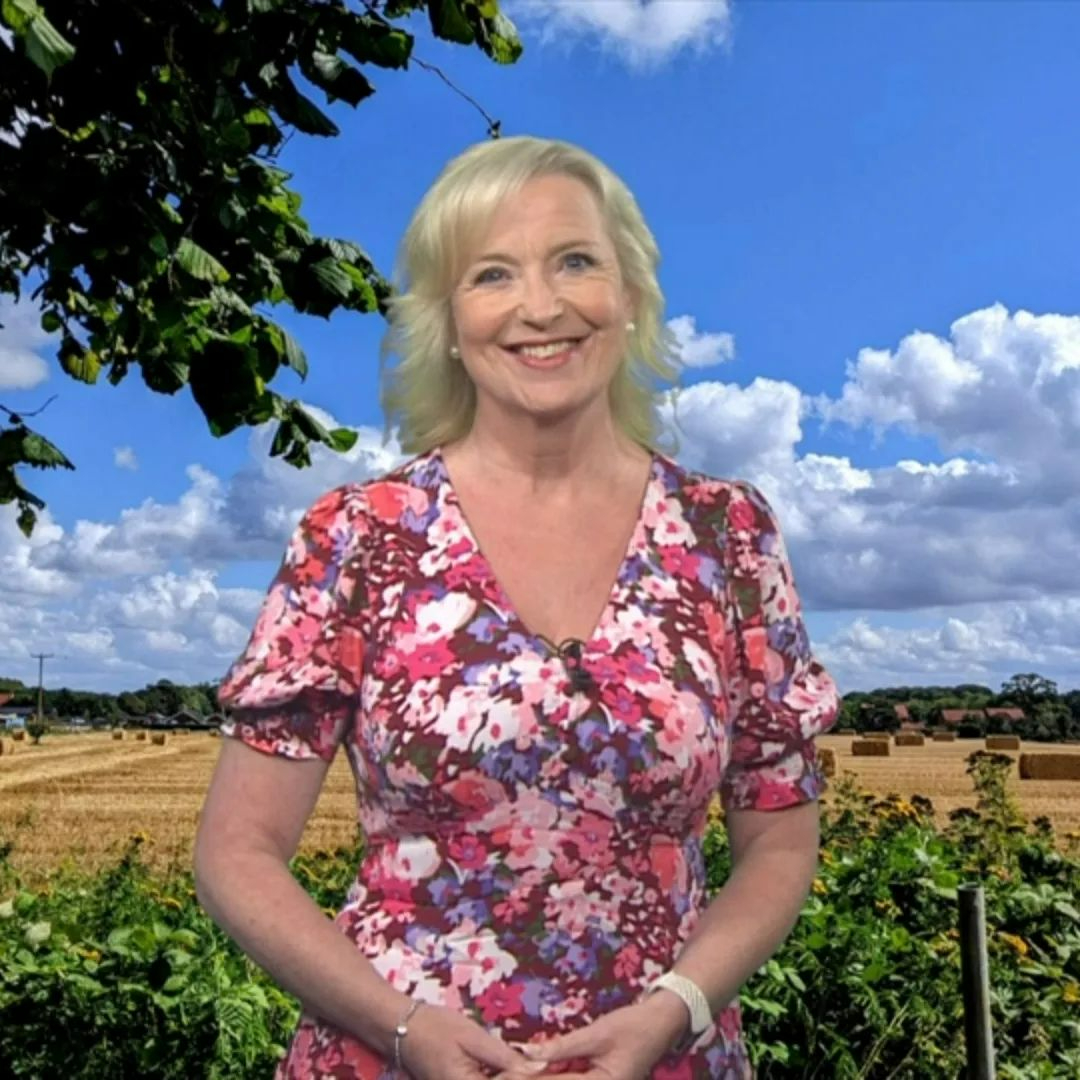 BBC Breakfast’s Carol Kirkwood ‘gets more beautiful every day’ in gorgeous figure-hugging dress