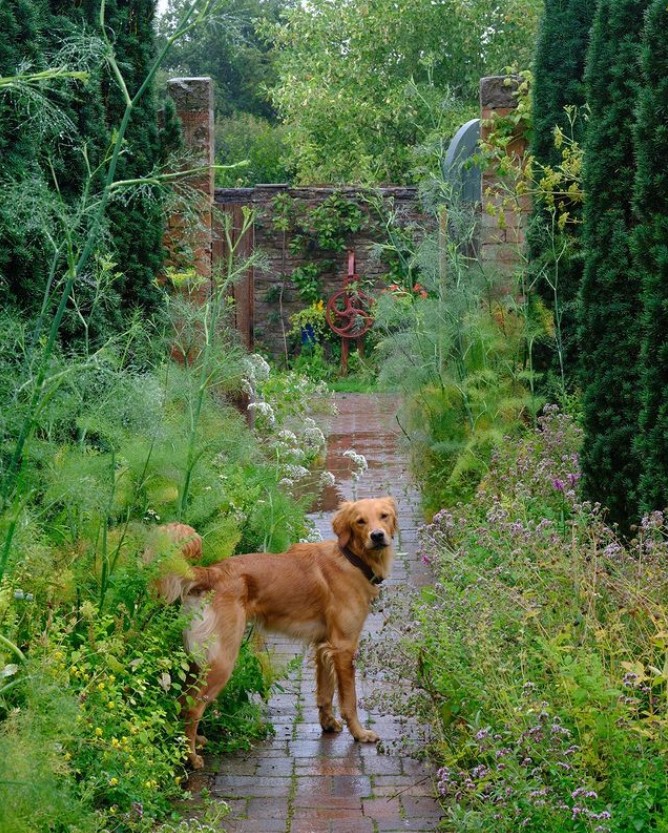 Monty Don blasted by Gardeners’ World fans for endangering co-star with ‘catastrophic’ mistake