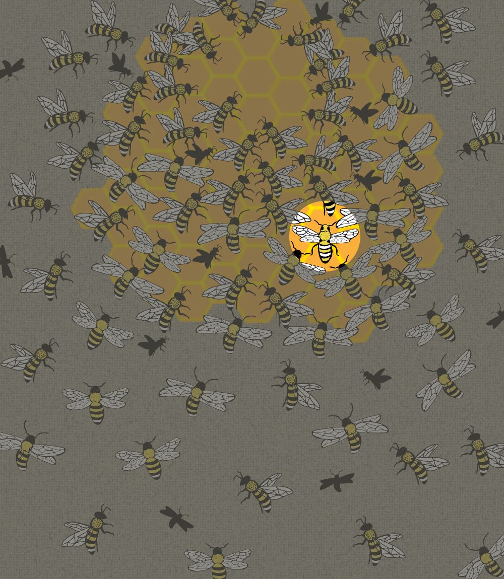 You’re in the top 22% if you can spot the queen bee in less than 5 seconds