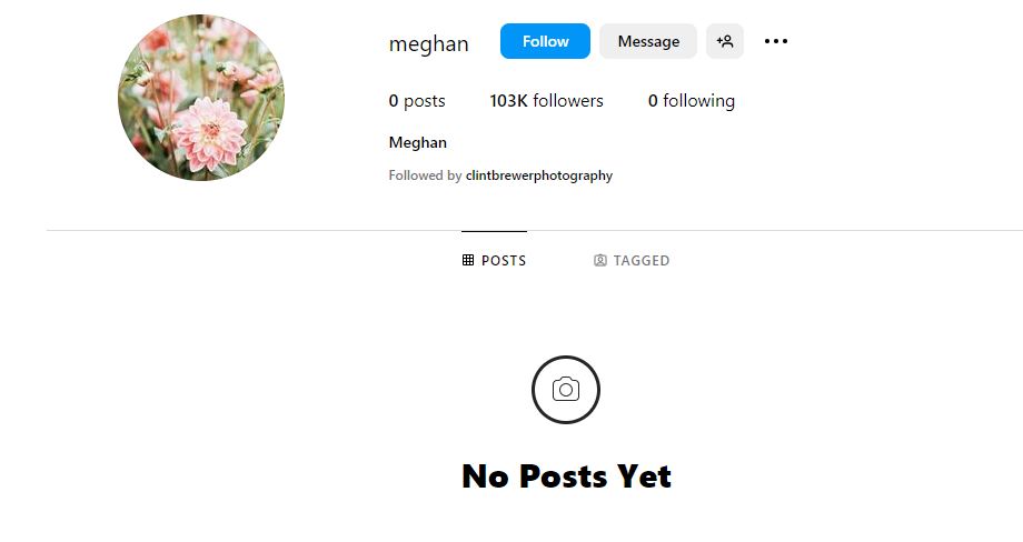 Meghan Markle’s ‘new’ Instagram rakes in 100k followers – without sharing one single post