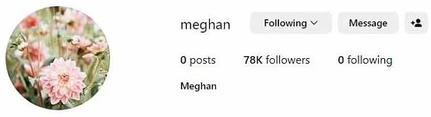 Meghan Markle’s ‘new’ Instagram rakes in 100k followers – without sharing one single post