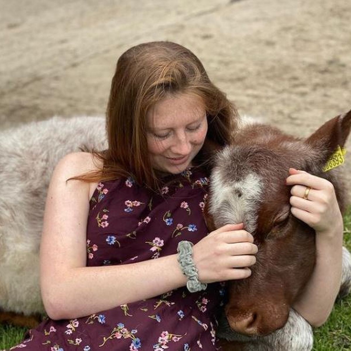 Our Yorkshire Farm's Raven Owen Finds New Business Venture as Ravenseat Remains Closed