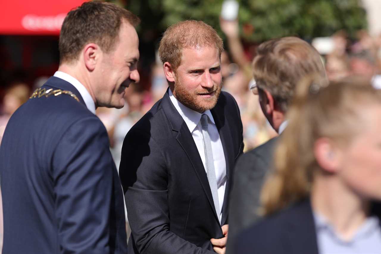 Prince Harry Receives Mixed Reception at Invictus Games in Germany as Meghan Markle Stays Behind