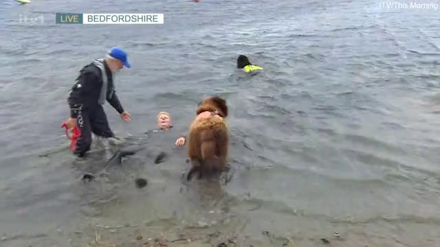 Presenter dragged into lake by dog during chaotic moment on This Morning