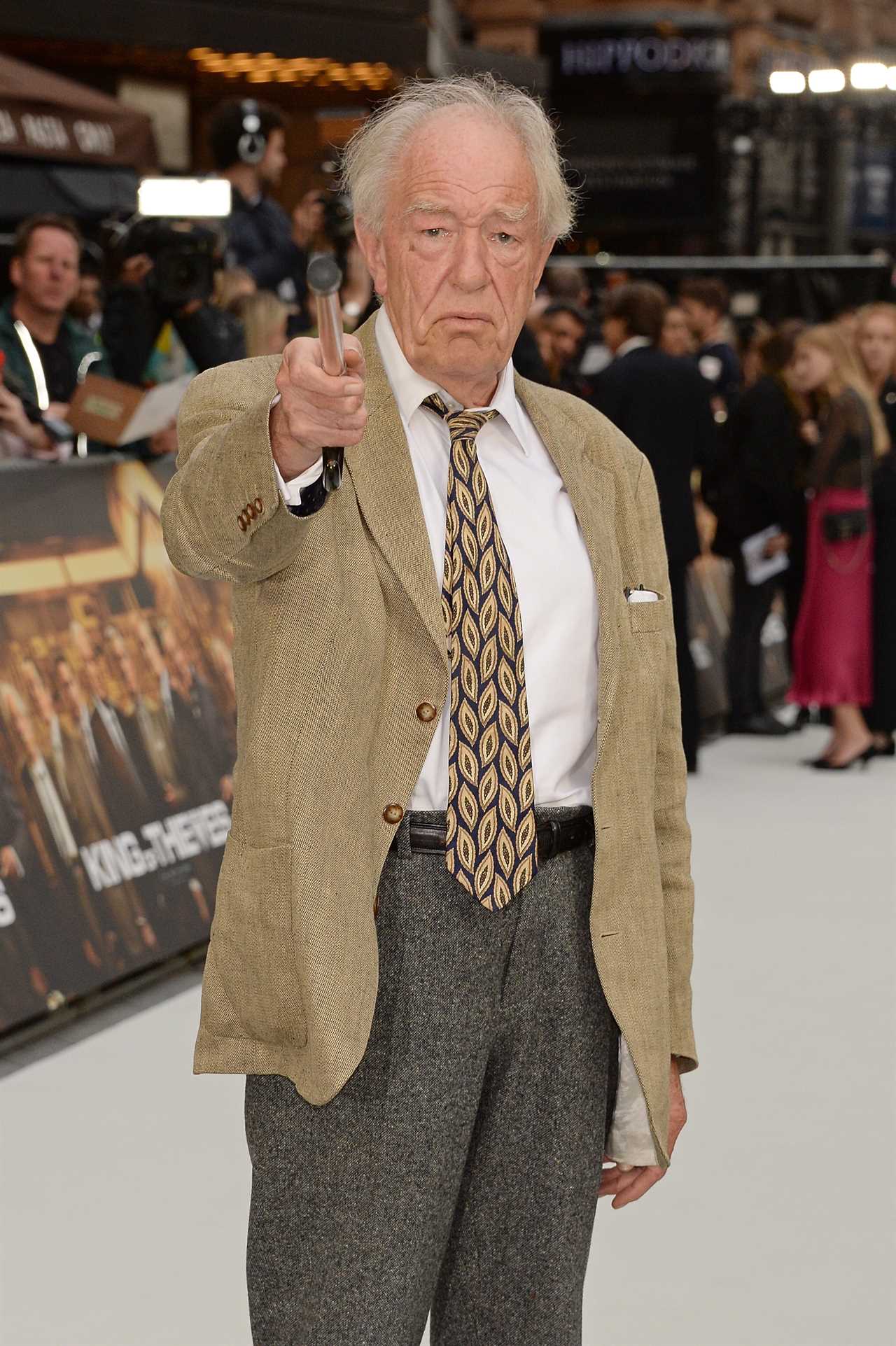 Was Sir Michael Gambon in Lord of the Rings?