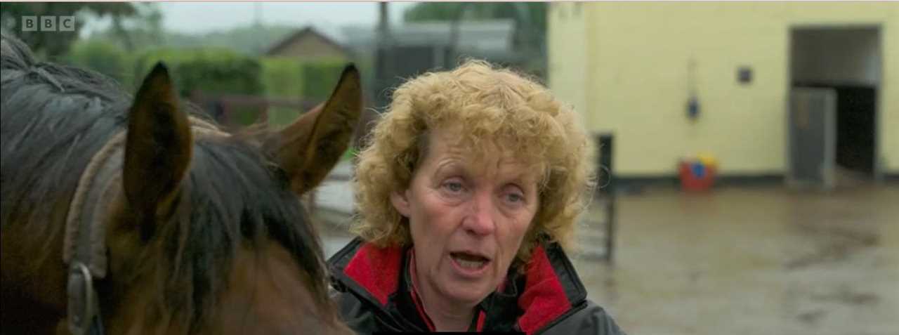 Countryfile viewers criticize BBC for airing uncomfortable scenes of animal cruelty