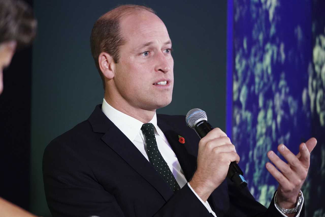 Prince William Vows to Bring Real Change and Be a Social Leader