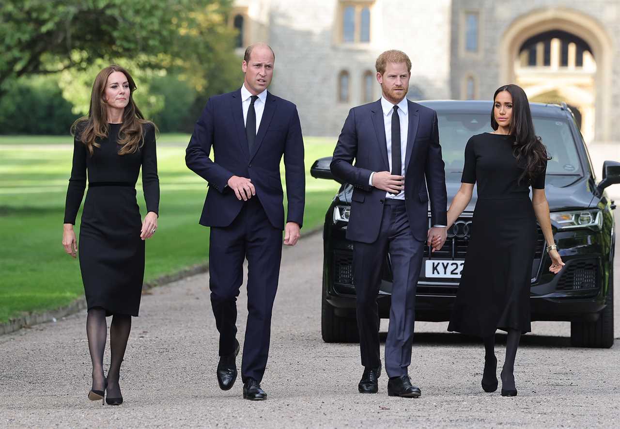 Prince William Allegedly Ignored Prince Harry's Messages as Queen Was Dying, Claims New Book