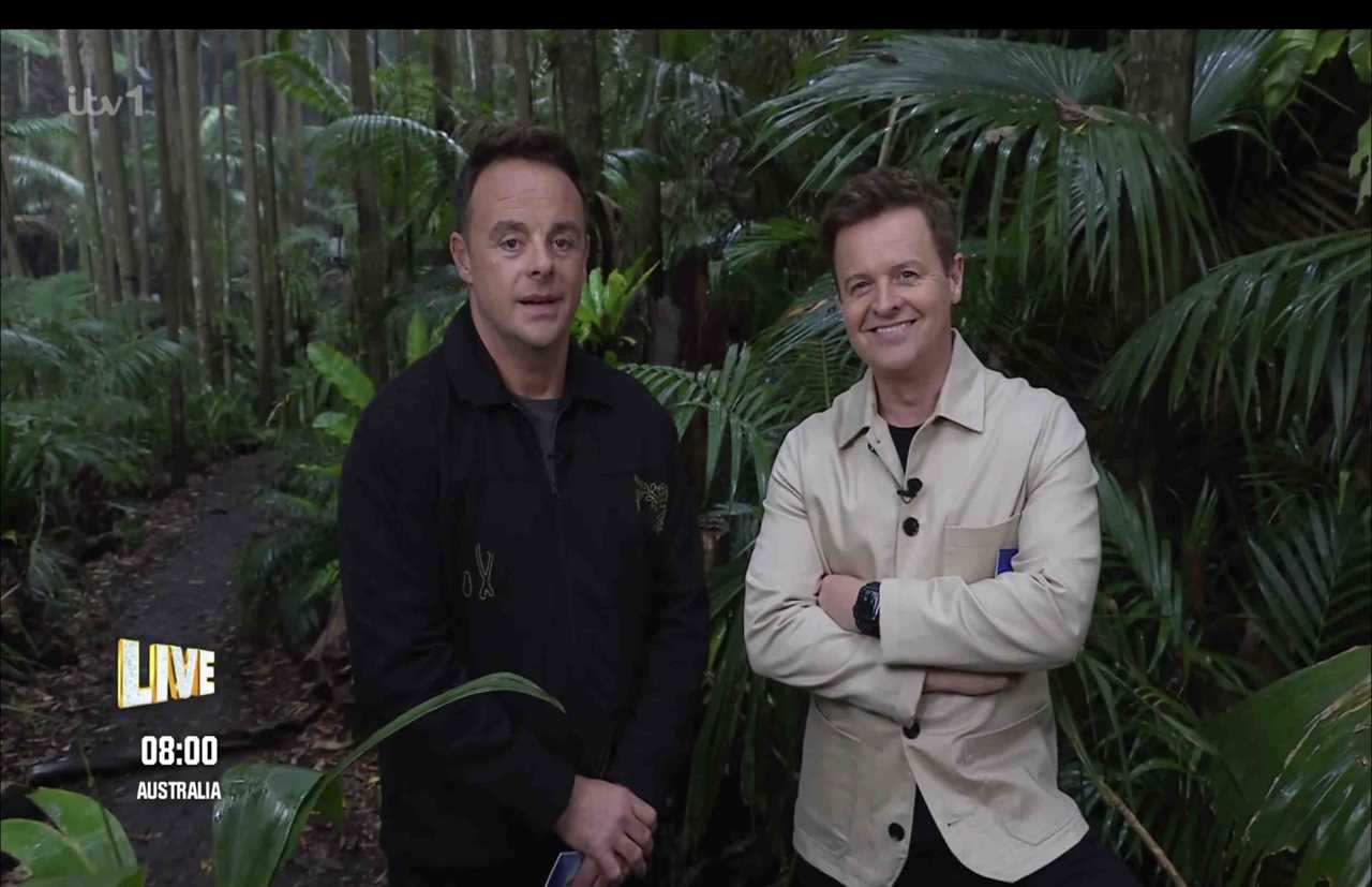 Ant and Dec Fear 'Alpha Clash' as New Campmates Enter I'm A Celeb Jungle