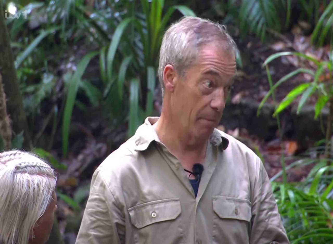 I'm a Celeb Feud: Campmate Disgusted with Rival, Viewers Claim