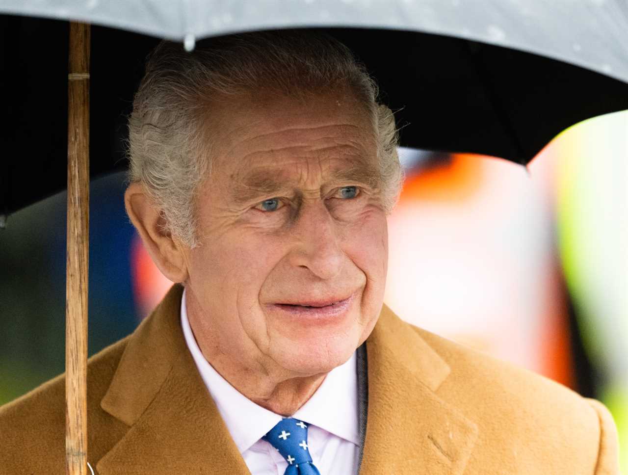 King Charles' Response to Meghan Markle's Racism Claims Unveiled in New Book