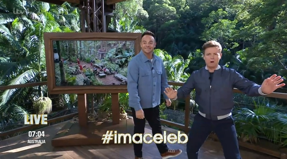 I'm a Celeb's Ant and Dec Take a Swipe at Jamie Lynn Spears and Grace Dent After Their Shock Jungle Exits