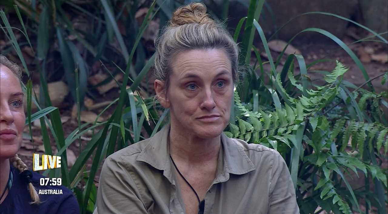 I'm a Celeb's Ant and Dec Take a Swipe at Jamie Lynn Spears and Grace Dent After Their Shock Jungle Exits