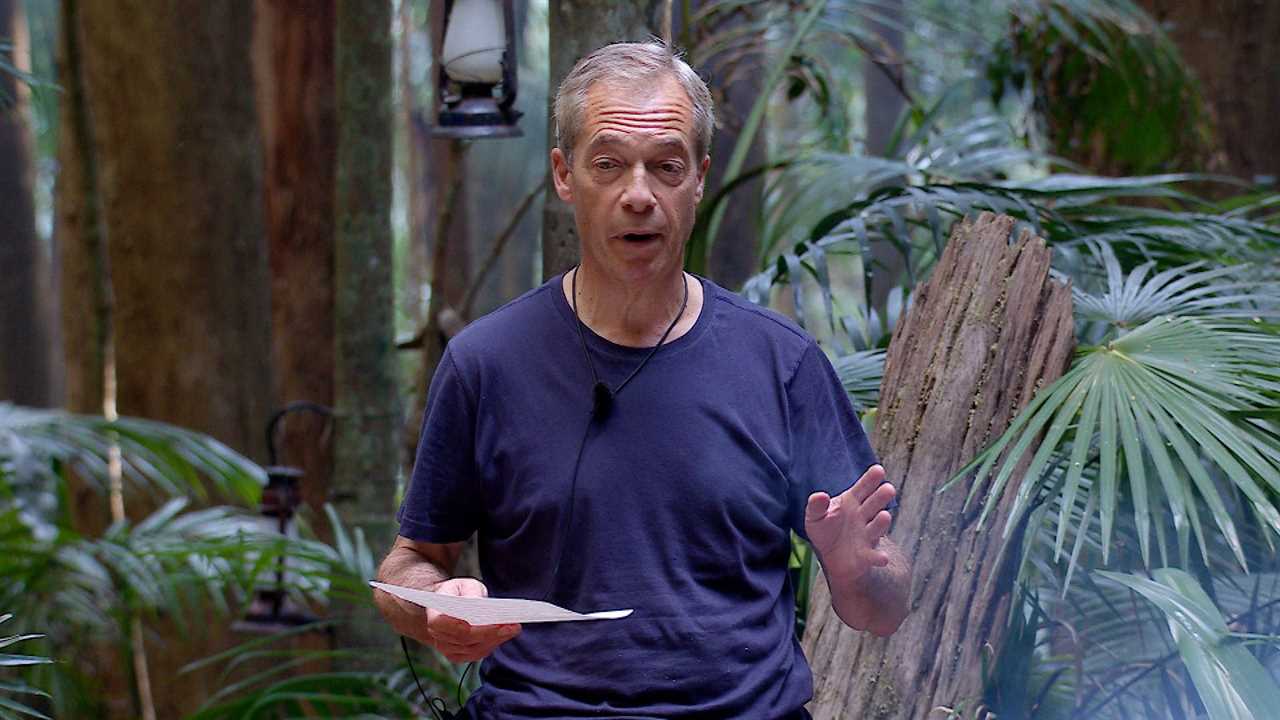 I'm a Celeb Star Nigel Farage's Mum Speaks Out on His Naked Jungle Showers