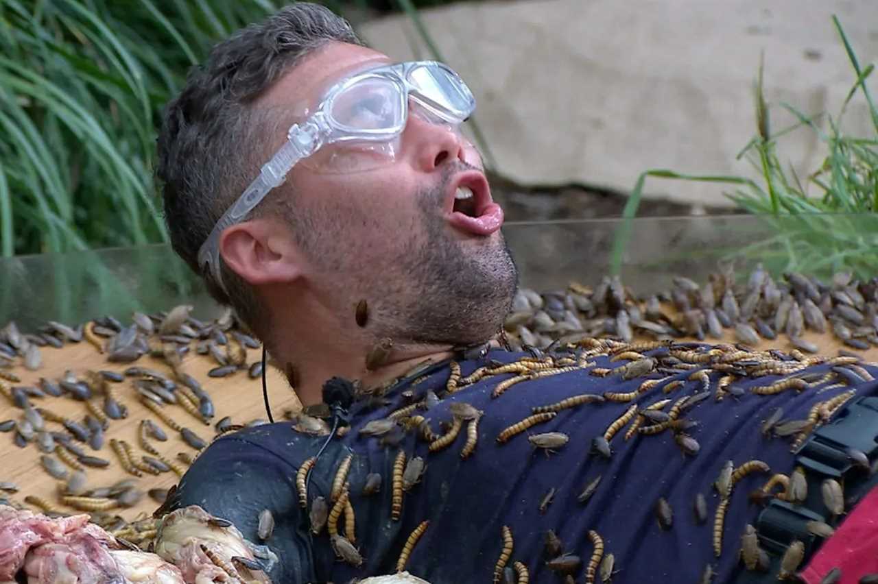 'I'm A Celeb' Fans Demand Tougher Bushtucker Trials