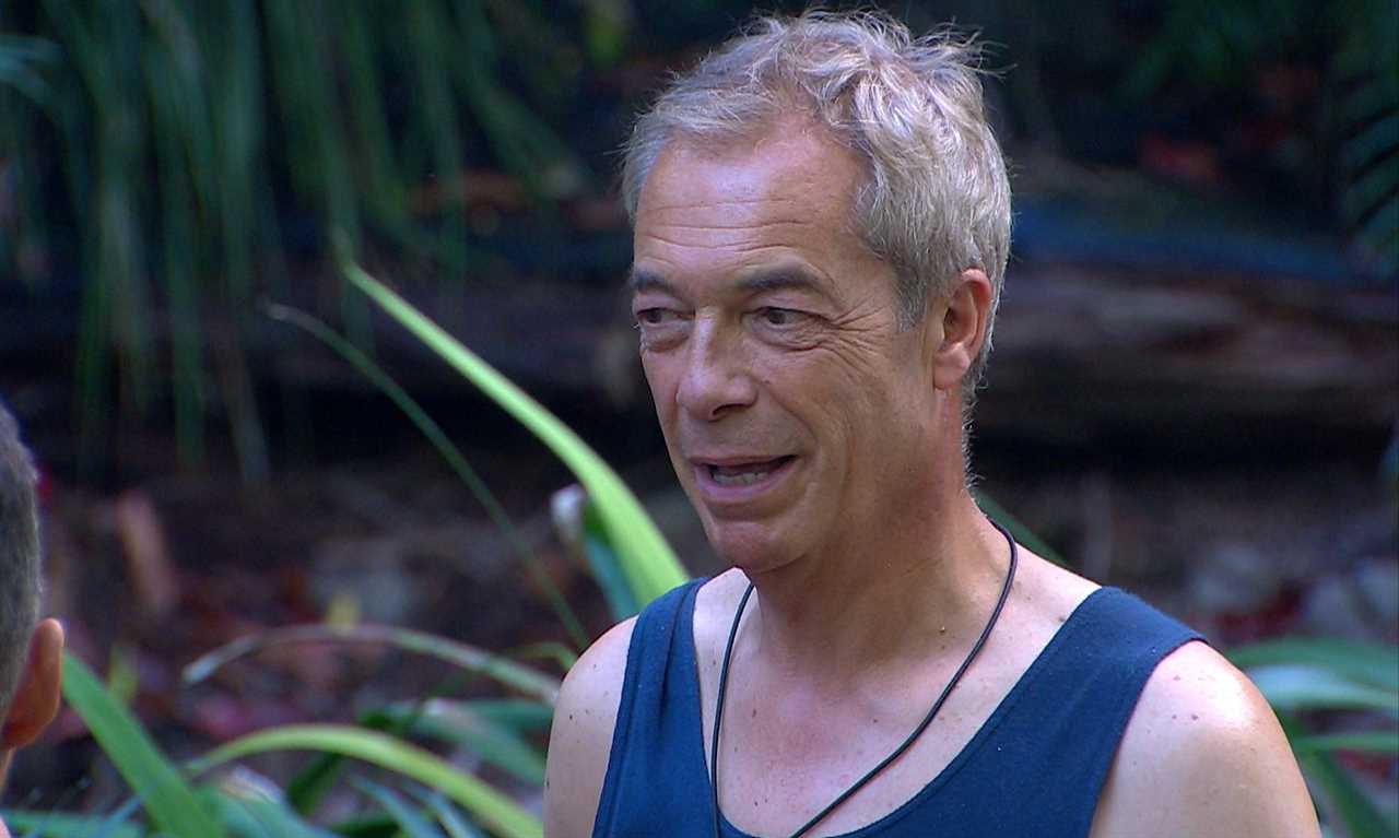 Nigel Farage Reveals True Motive Behind I'm A Celeb Appearance