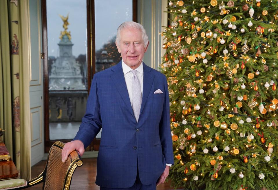 King Charles Fails to Mention Prince Harry or Andrew in Christmas Message