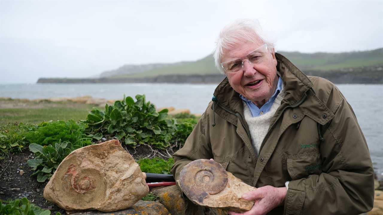 Attenborough Unveils Ancient Sea Monster in New BBC Documentary