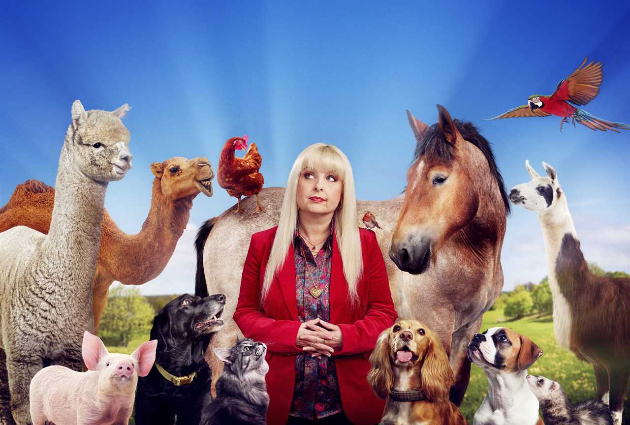 Psychic pets and TV antics: A glimpse into the world of bizarre television