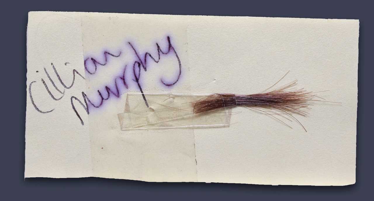 Lock of Cillian Murphy's Hair from Peaky Blinders Goes on Sale for £6,000