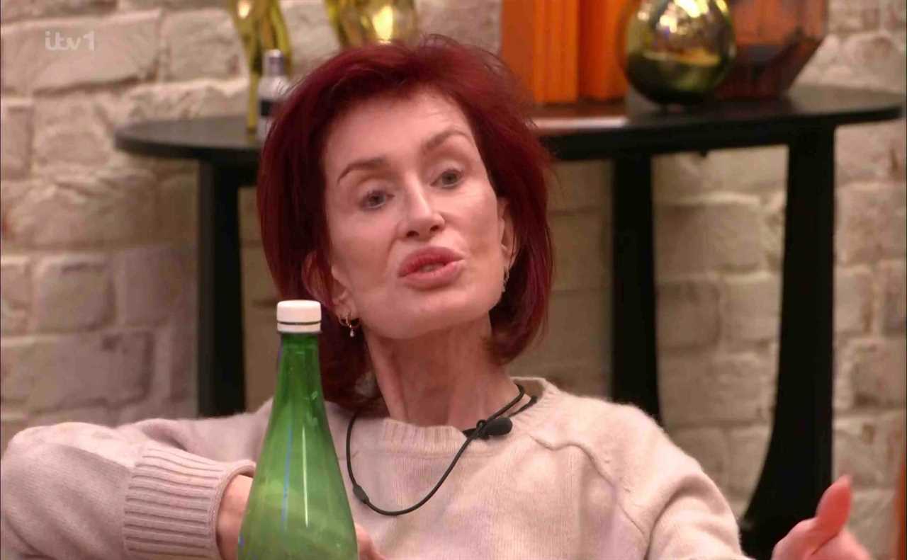 Sharon Osbourne reignites feud with Dannii Minogue on Celebrity Big Brother