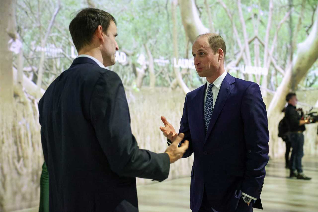 Prince William's Urgent Statement on Environment Post Photoshop Drama