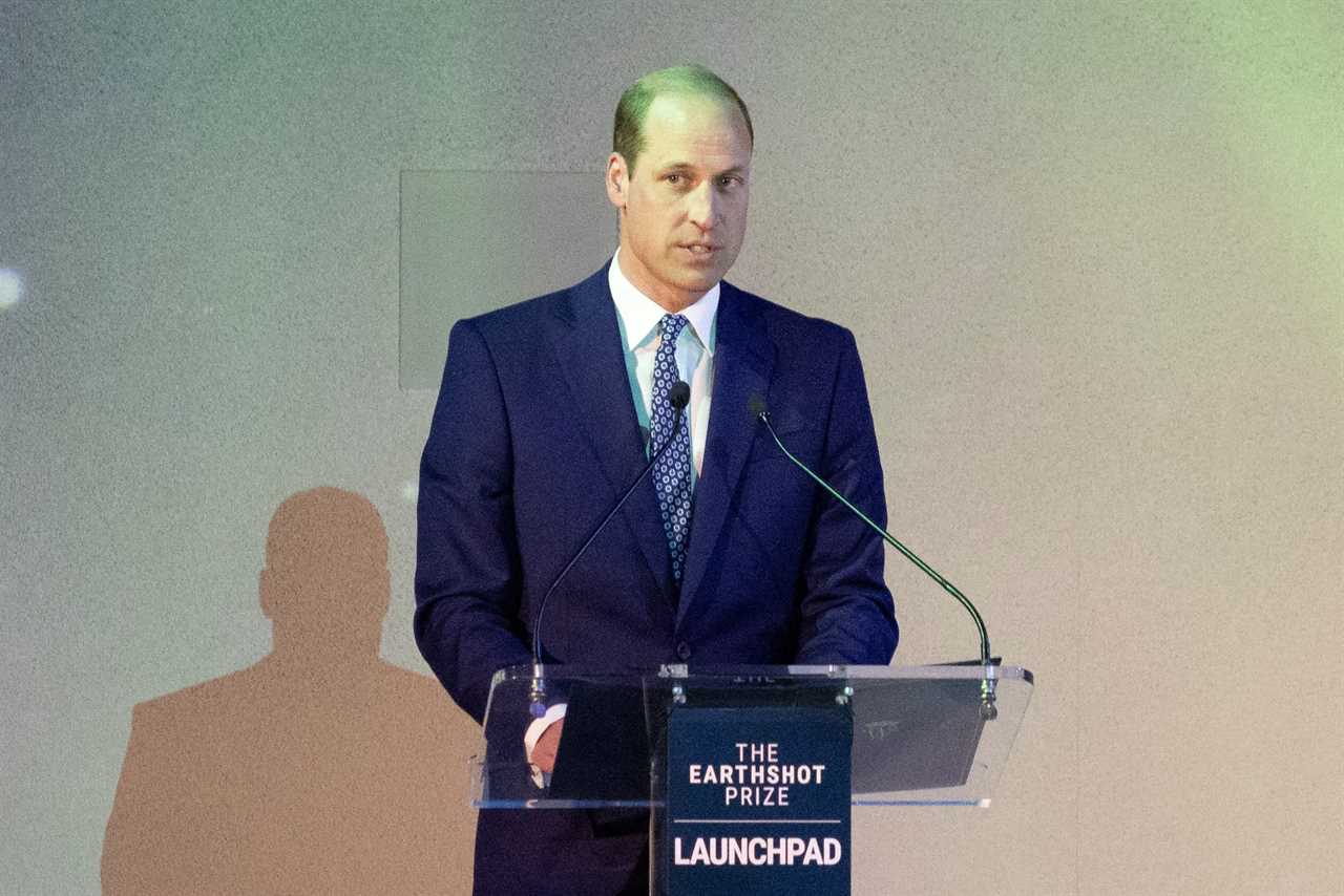Prince William's 'Commanding' Earthshot Speech Amid Family Health Worries