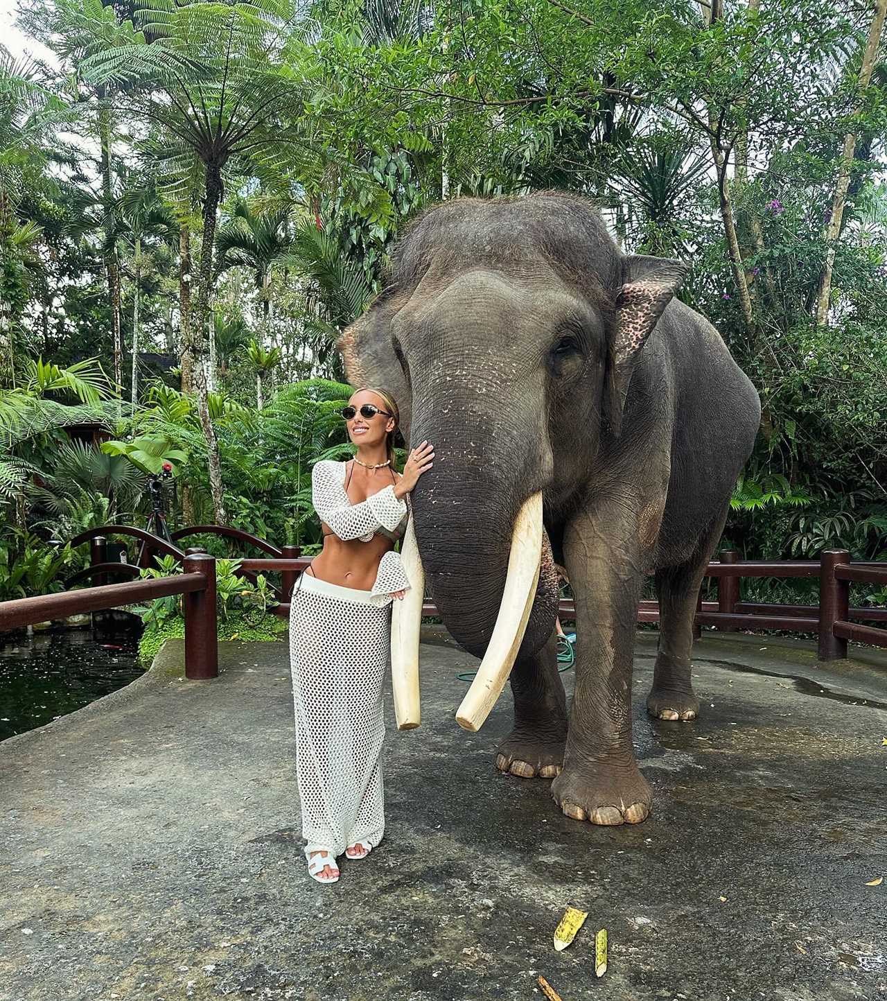 Towie's Amber Turner faces backlash over elephant tusks in holiday snap