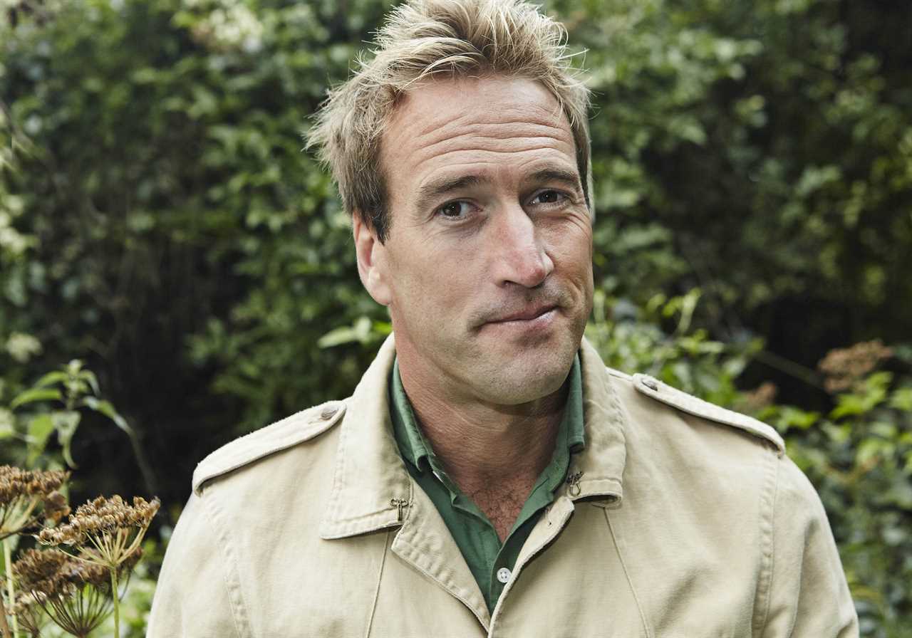 Ben Fogle reveals he 'nearly died' in road accident after van narrowly avoids him and his dog