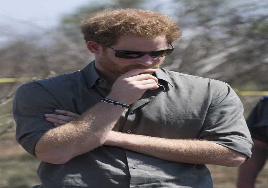 Prince Harry urged to step down from wildlife charity amid horror claims