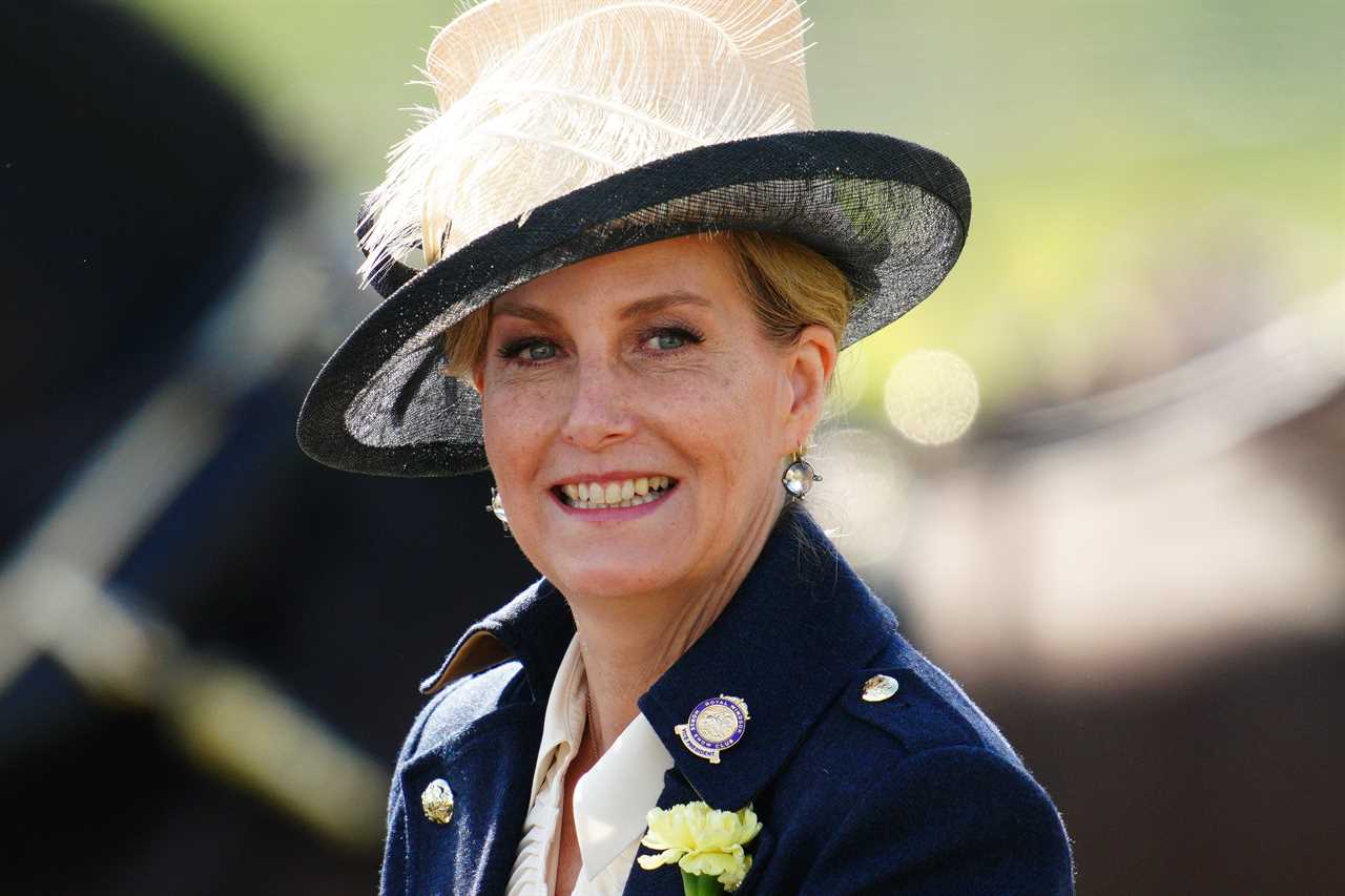 Lady Louise Windsor beams as she drives carriage at Royal Windsor Horse Show alongside mum Sophie Wessex